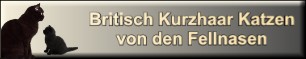 http://www.zuchtverzeichniss.de