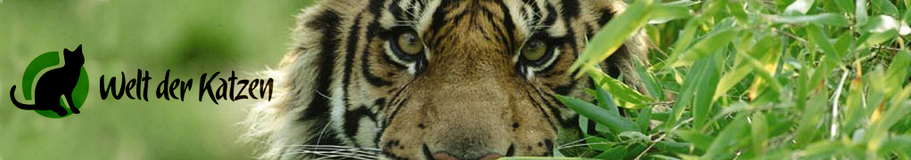 www.nevacat.de